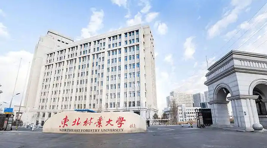 东北林业大学